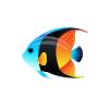 Tricolor Angelfish