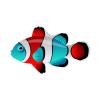 Tricolor Clownfish