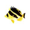 Mitratus Butterflyfish