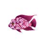Floral Cichlid