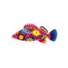 Floral Rockfish