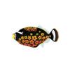 Floral Triggerfish