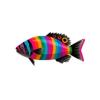 Groovy Stripe Fish