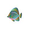 Parrotfish Butterflyfish