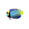 Emperor Angelfish