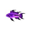 Purple Apisto