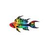 Rainbow Apisto