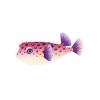 Purple Burrfish