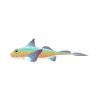 Rainbow Scale Chimaera