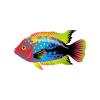 Solar Rainbow Cichlid