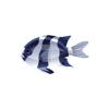 Damselfish - Set 1