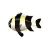 Four Stripe Damselfish