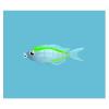 Green Glass Fish