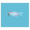 Pink Glass Fish