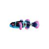 Turquoise Bumblebee Goby