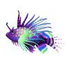 Galaxy Lionfish