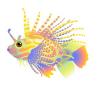 Peach Lionfish