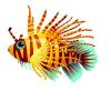 Sun Stripe Lionfish