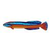 Neon Dottyback