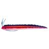 Berry Oarfish