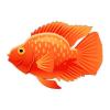 Orange Beauty Parrot Cichlid