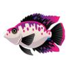 Purple Wax Parrot Cichlid