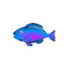 Proto Parrotfish