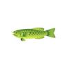 Spotted Greenfish