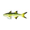 Green Threadfin Salmon