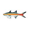 Orange Stripe Threadfin Salmon