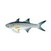 Silver Threadfin Salmon