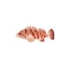 Red Stripe Rockfish