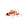 Common Squirrelfish