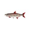 Red Fin Tarpon