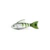 Green Tail Tiger Fish