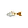 Orange Tail Tiger Fish