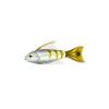 Yellow Tail Tiger Fish