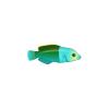 Wrasse - Set 1