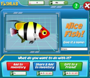 Fish Lab